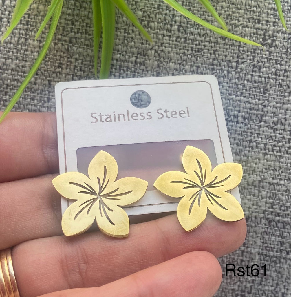 حلق stainless steel ستانلس مش بيغيير لون السعر ٤٠ (rst61)