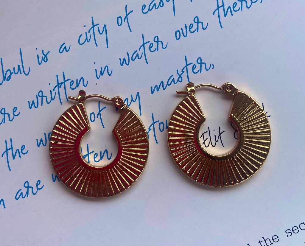 stainless steel earrings with 110 EGP