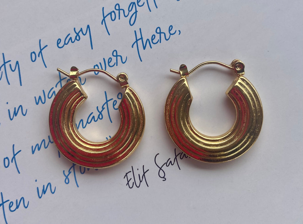 stainless steel earrings with 110 EGP