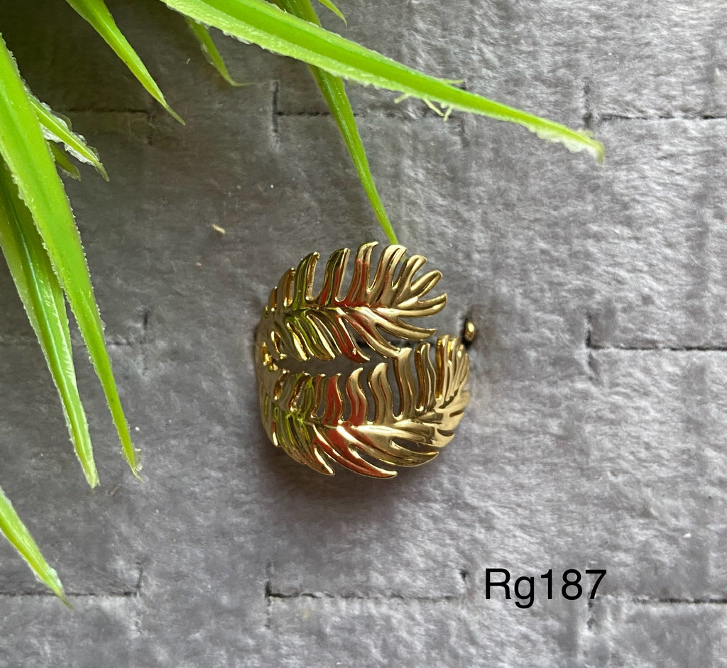 خاتم stainless steel free size ينفع كل المقاسات السعر ٣٠ (rg187)