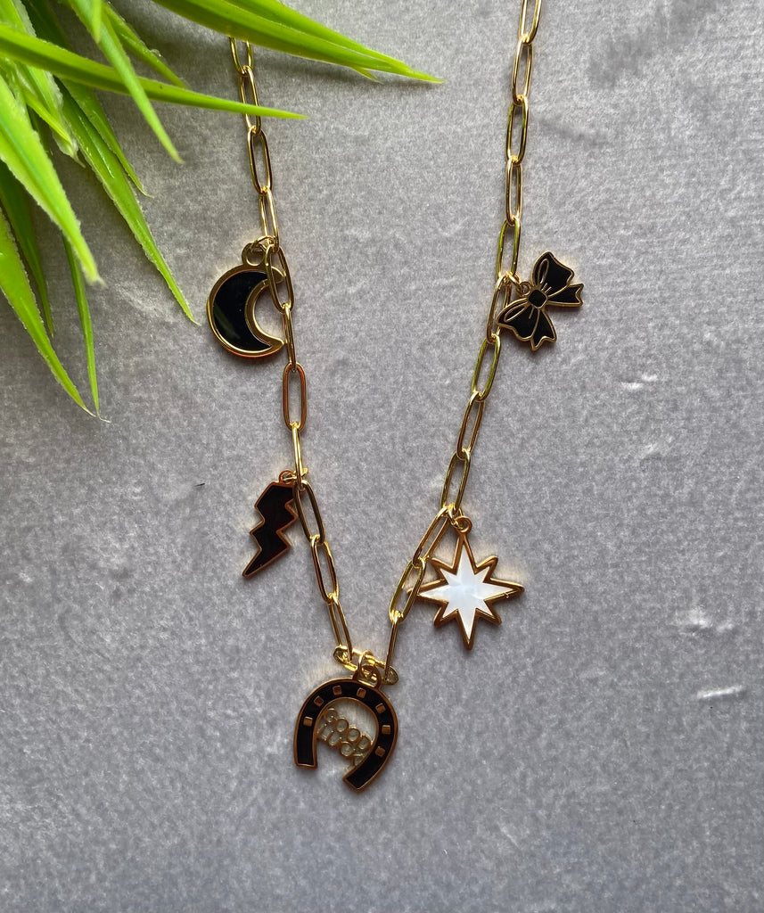 سلسلة stainless steel السعر ١٢٠  دلايات