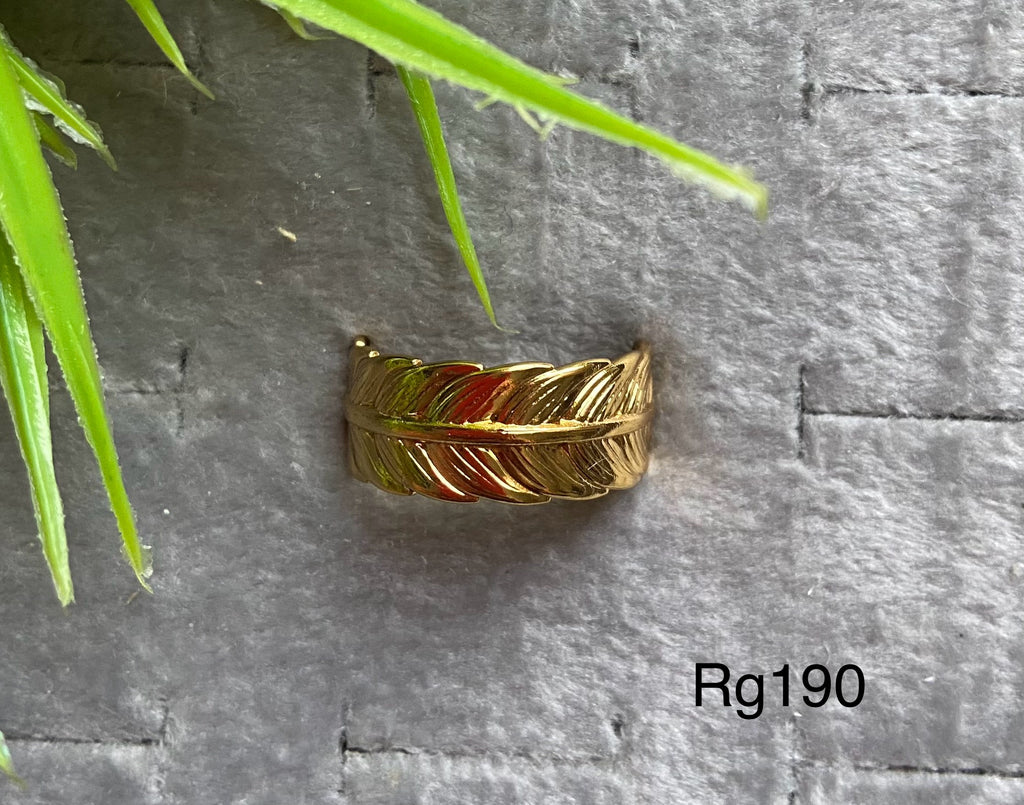 خاتم stainless steel free size ينفع كل المقاسات السعر ٣٠ (rg190)