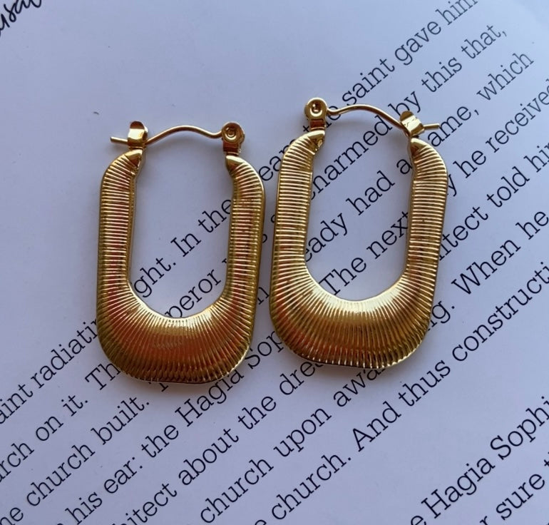 stainless steel earrings with 100 EGP