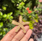 Sticky Image