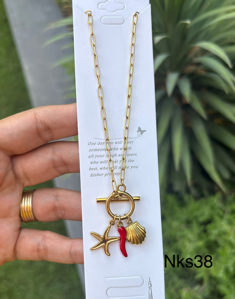 سلسلة stainless steel السعر ١٠٠ (nks38)