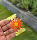 Sticky Image